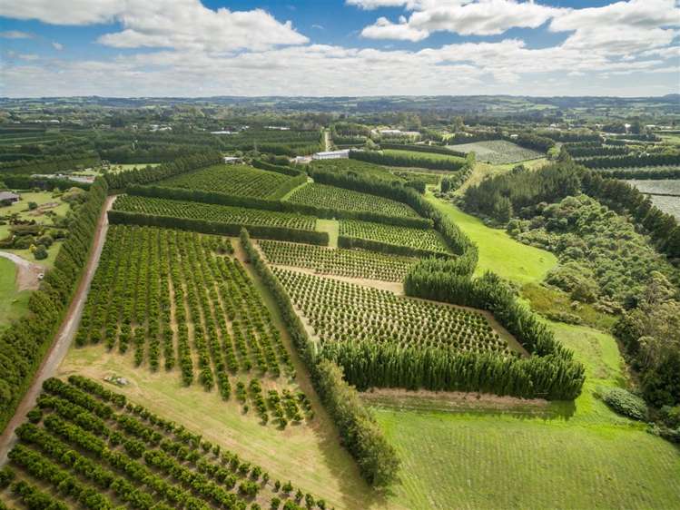 517 Kerikeri Road Kerikeri_6