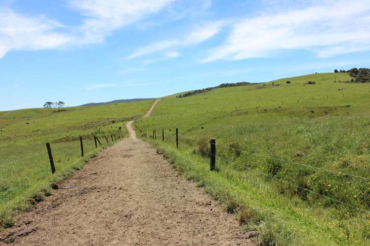 89 Jones Road Donnellys Crossing_9