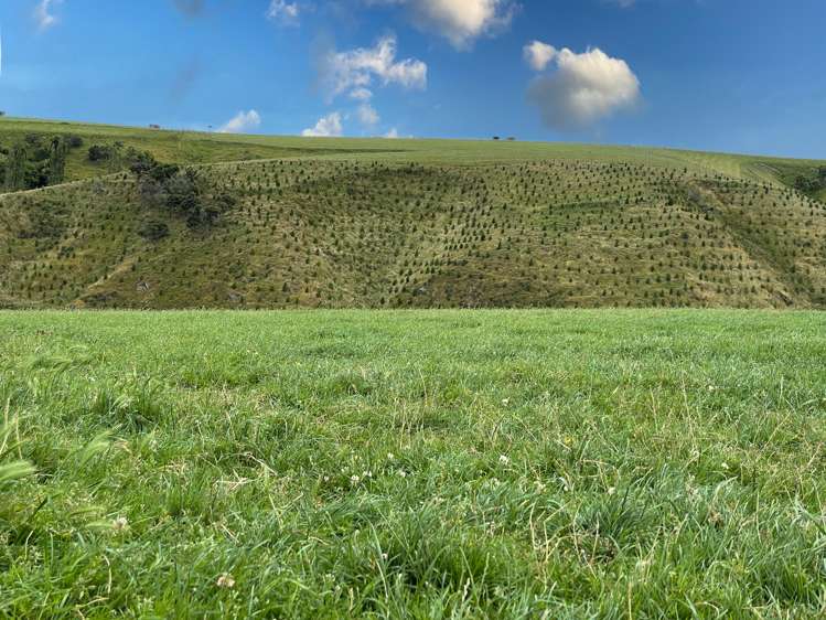 446 Skinner Road Clinton and Surrounds_15