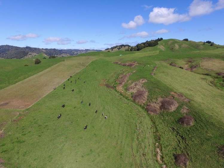 1190 Ohura Road Waimiha-Ongarue_0