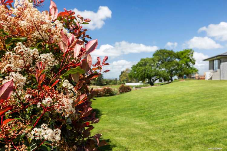 81D Dean Road Pokeno_27