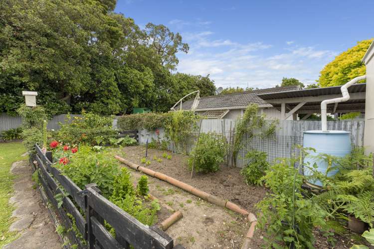 5 Pascal Street Palmerston North Central_18