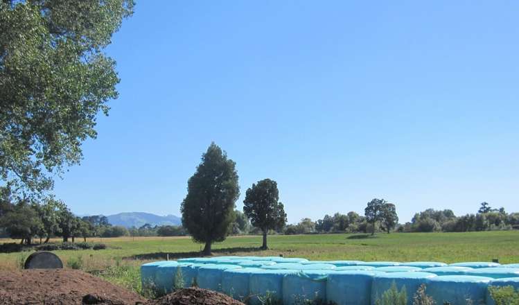 44 Matarawa Road Carterton_8