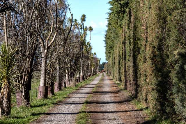 89 Chisnalls Road Hinds_3