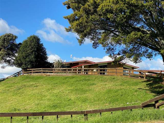 57 Butcher Road Pukekohe_2