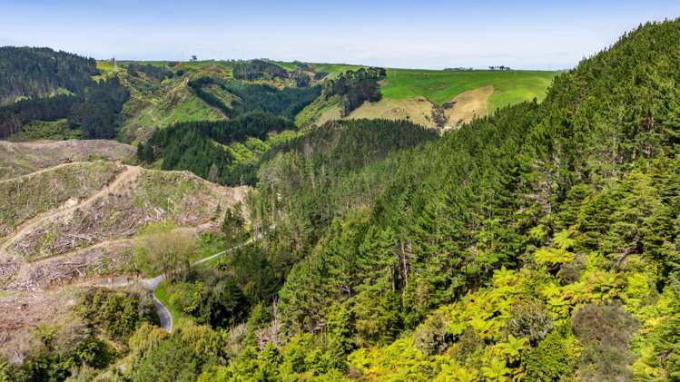 Lot 6 Tangahoe Valley Road Ohangai_5