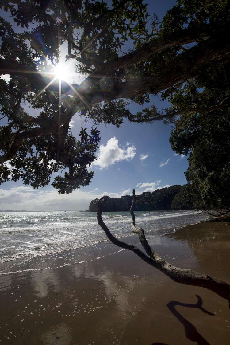 8 Braemar Avenue Coopers Beach_15