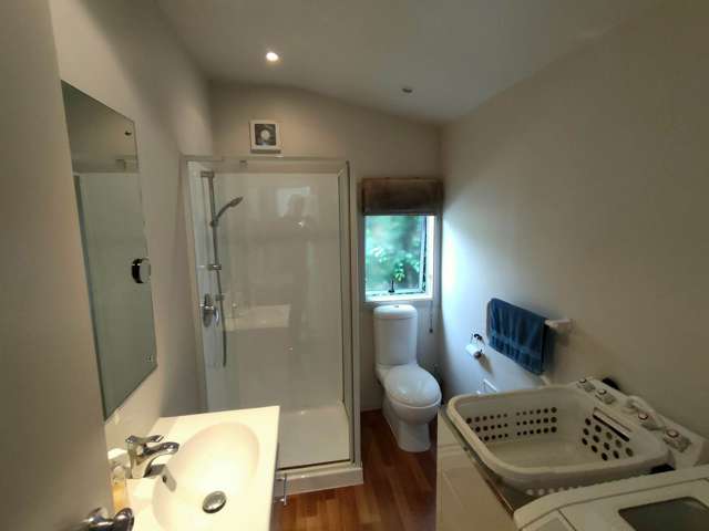 2/101 Ireland Road Panmure_4