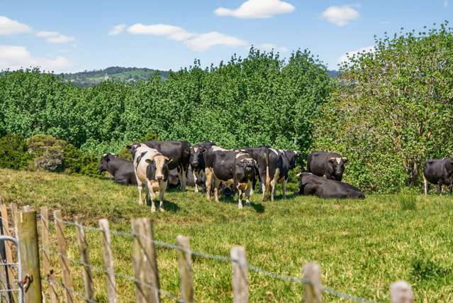 136 Ranganui Road Kaiwaka_3