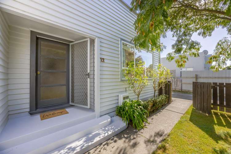 12 Alpers Terrace Marewa_14