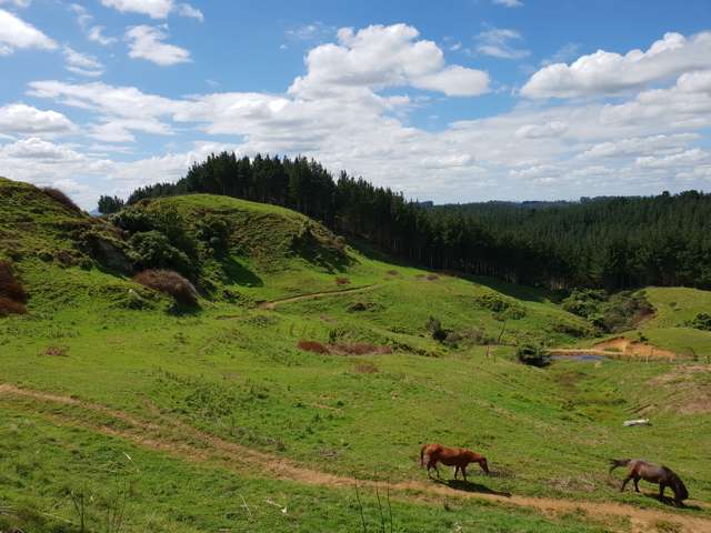 539 Tapuae Road Otorohanga_4