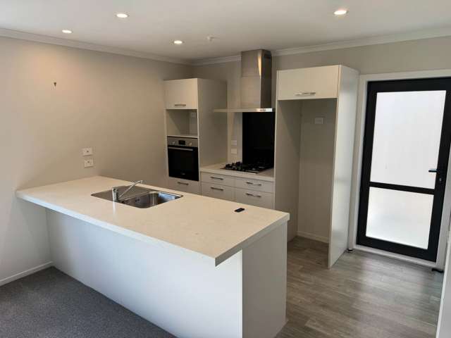 17 Butcher Road Pukekohe_4