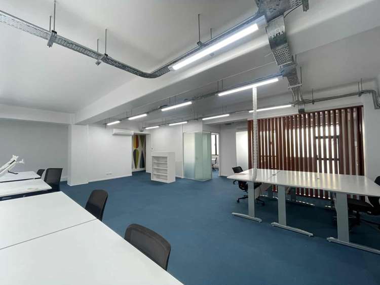 7 Windsor Street Parnell_1