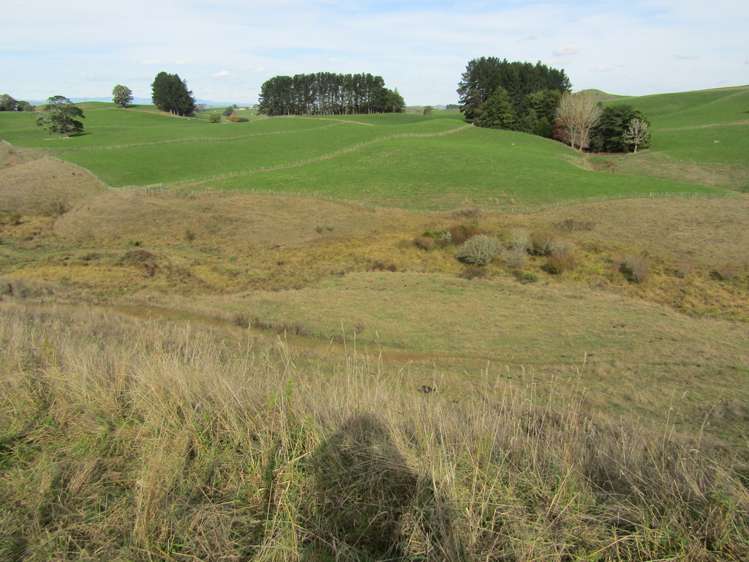 Te Tahi Road Pirongia_8