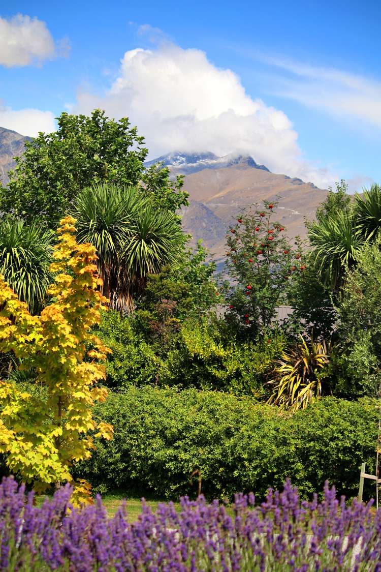 113a Essex Avenue Arrowtown_14