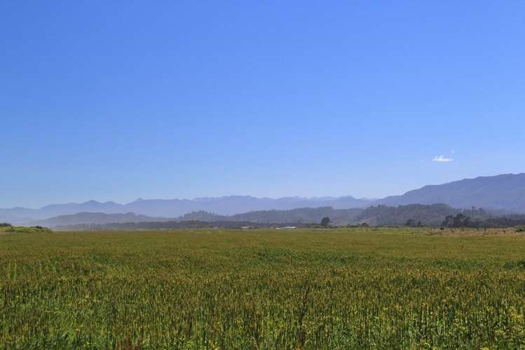 3279 Karamea Highway Kahurangi National Park_6
