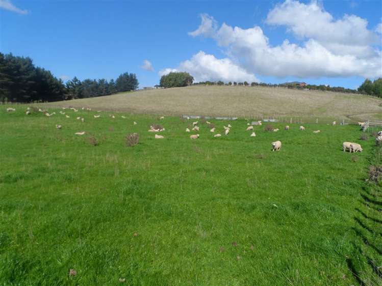 71 Wapiti Avenue Feilding_9