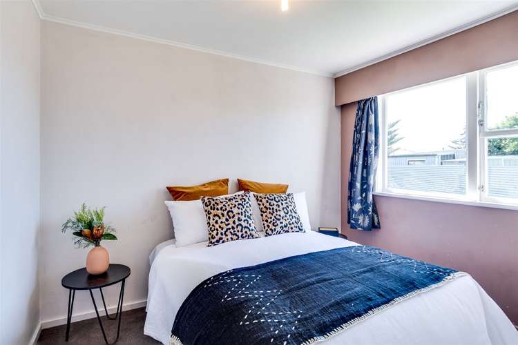 56 Alexander Avenue Onekawa_12