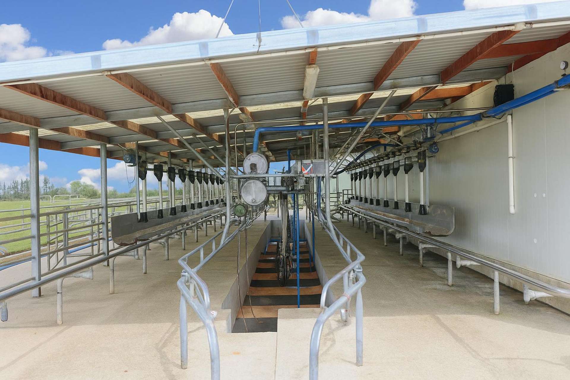 268 Mcbain Road Gore Surrounds_0