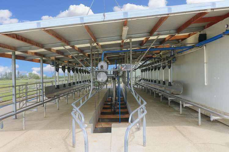 268 Mcbain Road Gore Surrounds_0