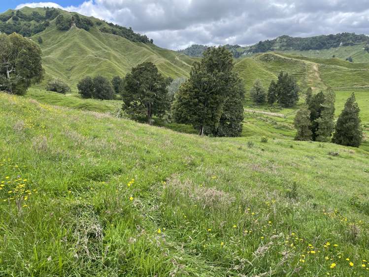 6753 Ohura Road Ruapehu-King Country Surrounds_11