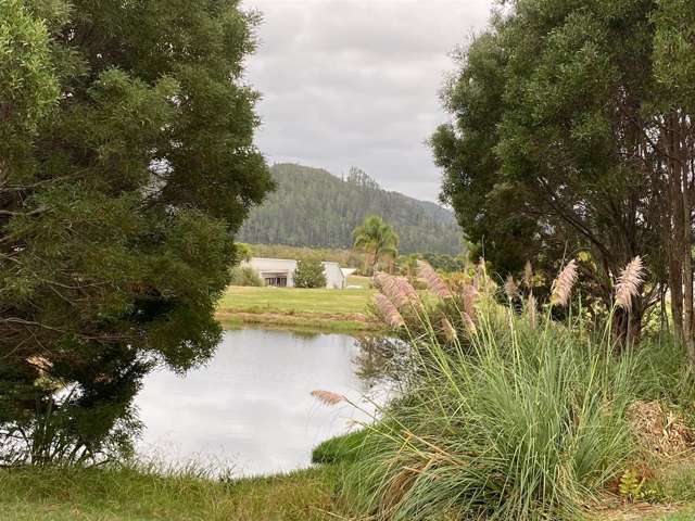 68 Pinehurst Drive Pauanui_1