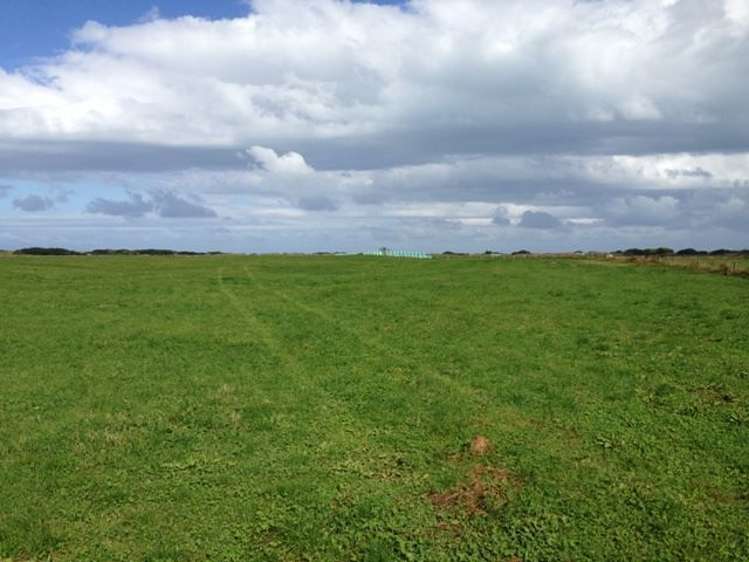 1110 Waimatuku Bush Road Taramoa_6