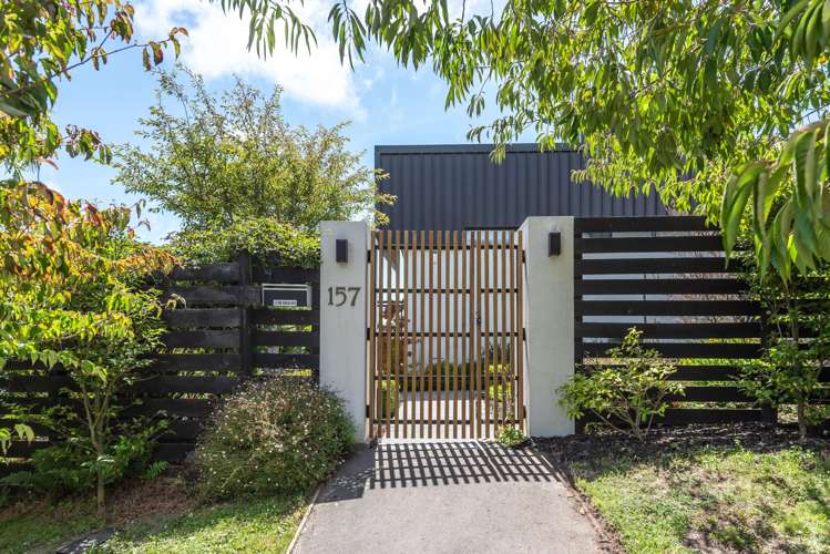 157 Soleares Avenue Mount Pleasant_2