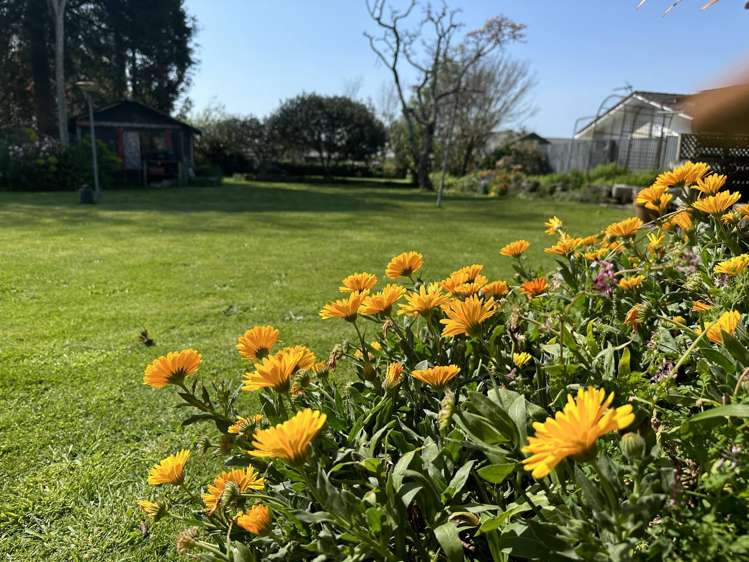 33 Elizabeth Street Matamata_14