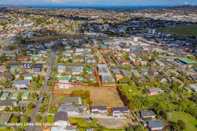 51 Roberton Road Avondale_4