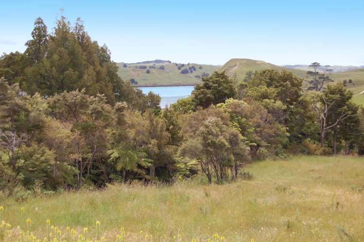 138 Rangiora Road Kaiwaka_7