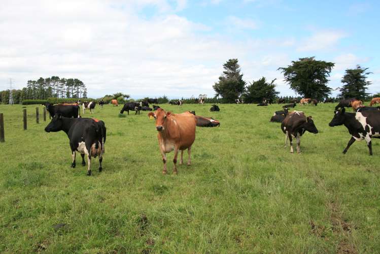 147 Monmouth Road Pembroke_0