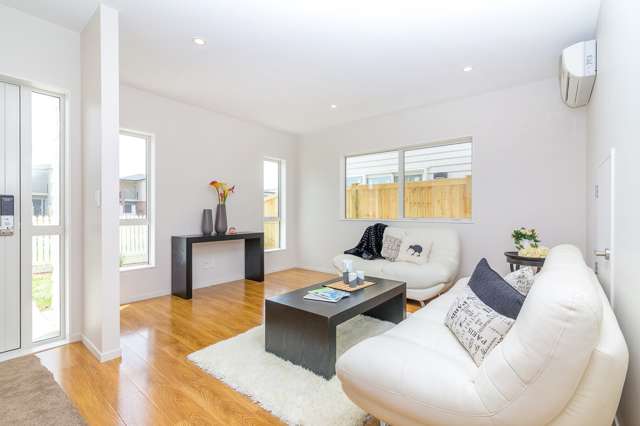 255 Murphys Road Flat Bush_2