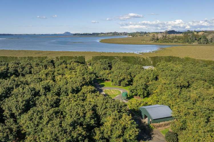 80 Prestidge Road Aongatete_20