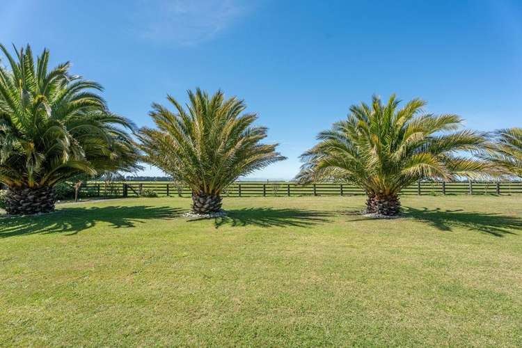 2/442 Glasseys Road Southbridge_27