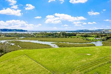 Quintal Farm_3