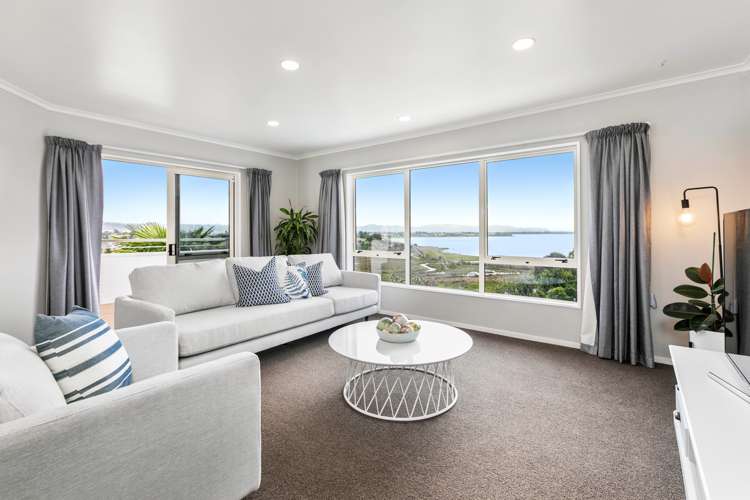 272b Bellevue Road Bellevue_5