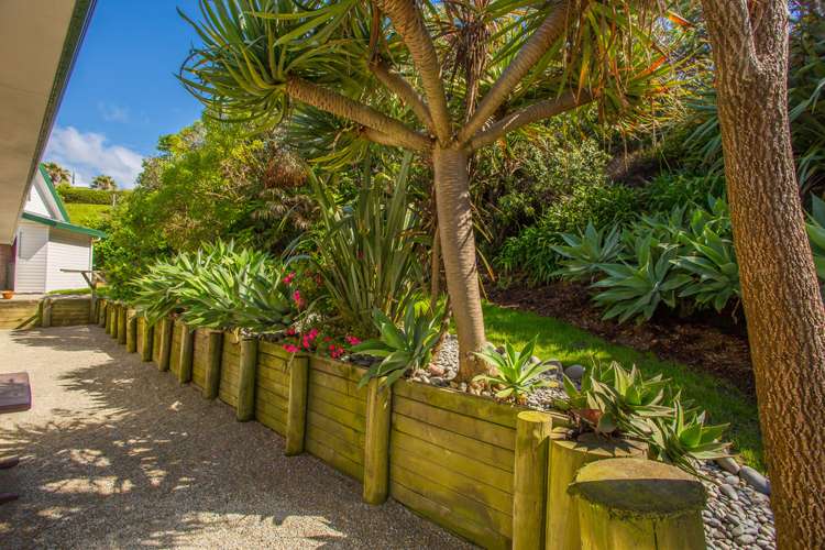 15 Sirrah Street Okitu_17