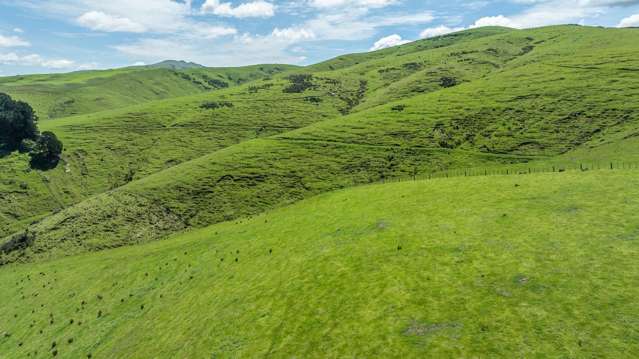 2726 Christchurch Akaroa Road Ataahua_3