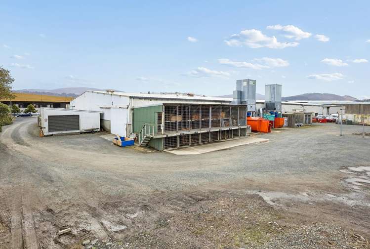 38 Teviot Street South Dunedin_17