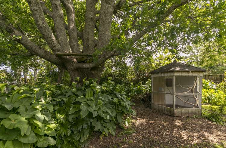 30 Kimihia Road Huntly_34