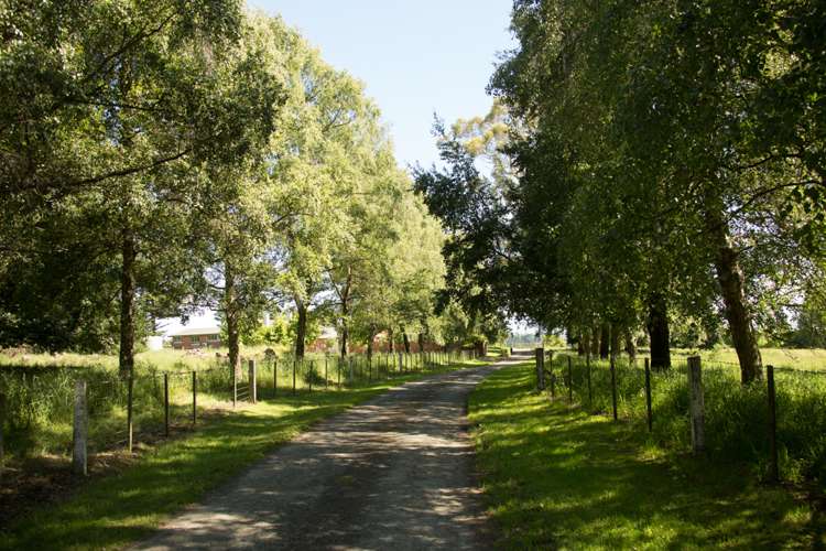 369 Gleniti Road Hadlow_6