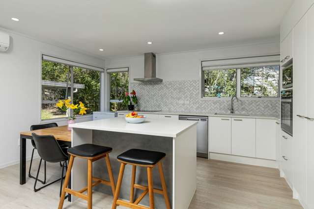 23 Leo Street Glen Eden_2