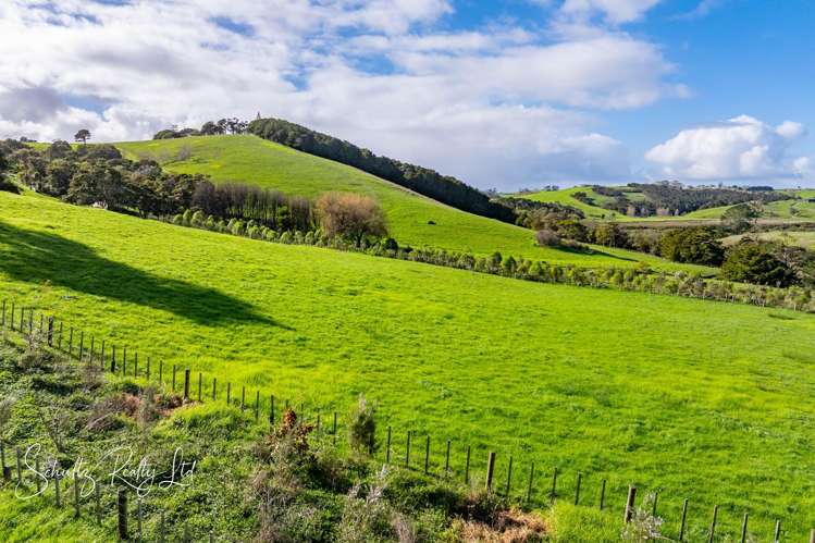 Petley Road Paparoa_6