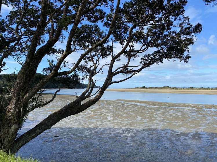 1/2043 Ngunguru Road Ngunguru_11