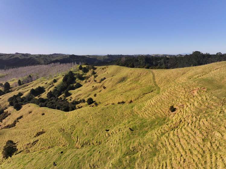 77 Remiger Road Puhoi_19