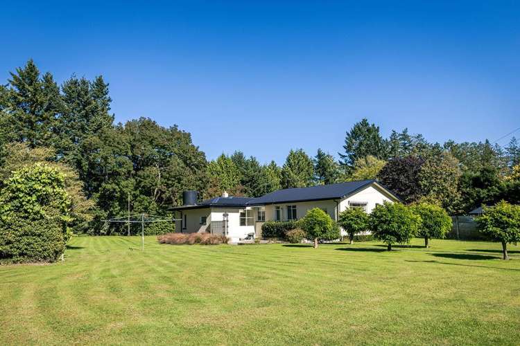 1710 Ealing Montalto Road Ashburton_15