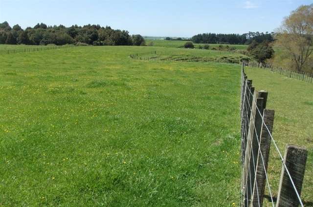 24 Ryland Park Levin_3