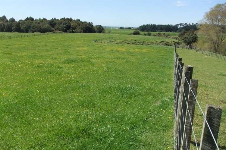 24 Ryland Park Levin_3