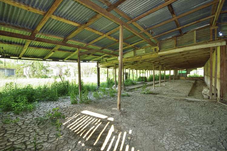 24 Branson Road Waipaoa_8